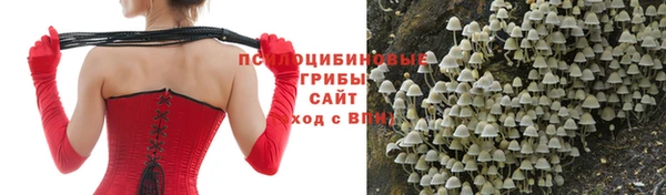 кристаллы Абаза